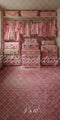 Kate Sweep Mur-à-Sol Princesse Placard Valises Rose Toile de fond conçue par Megan Leigh - Kate Backdrop FR