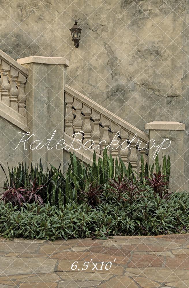 Kate Architecture Vintage Escaliers en Pierre Plantes Toile de fond conçue par Michele Ernst Photographie - Kate Backdrop FR