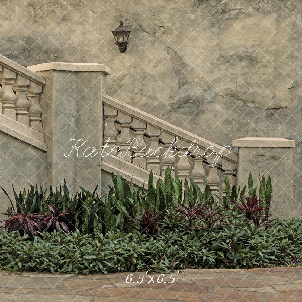 Kate Architecture Vintage Escaliers en Pierre Plantes Toile de fond conçue par Michele Ernst Photographie - Kate Backdrop FR