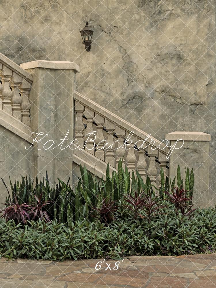 Kate Architecture Vintage Escaliers en Pierre Plantes Toile de fond conçue par Michele Ernst Photographie - Kate Backdrop FR
