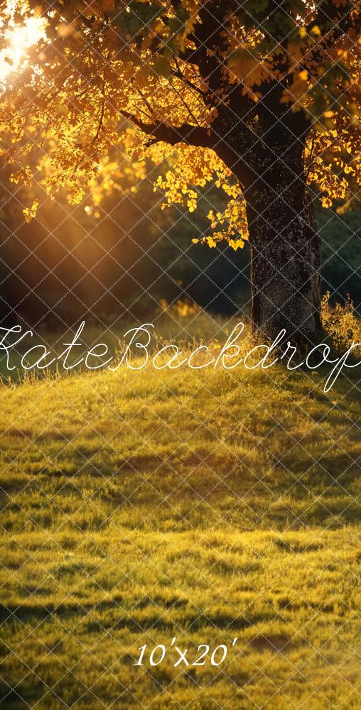 Kate Automne Arbre Doré Coucher de soleil Toile de fond conçue par Emetselch - Kate Backdrop FR