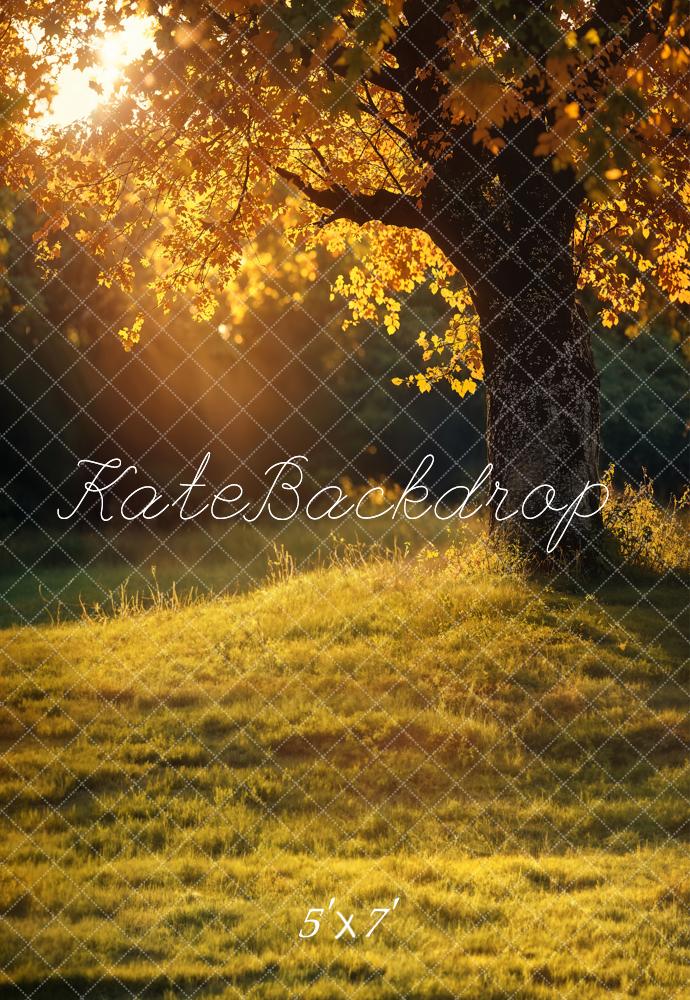 Kate Automne Arbre Doré Coucher de soleil Toile de fond conçue par Emetselch - Kate Backdrop FR