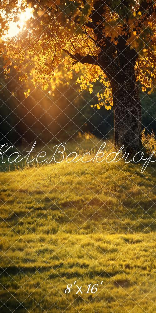 Kate Sweep Mur-à-Sol Automne Arbre Coucher de soleil Toile de fond conçue par Emetselch - Kate Backdrop FR