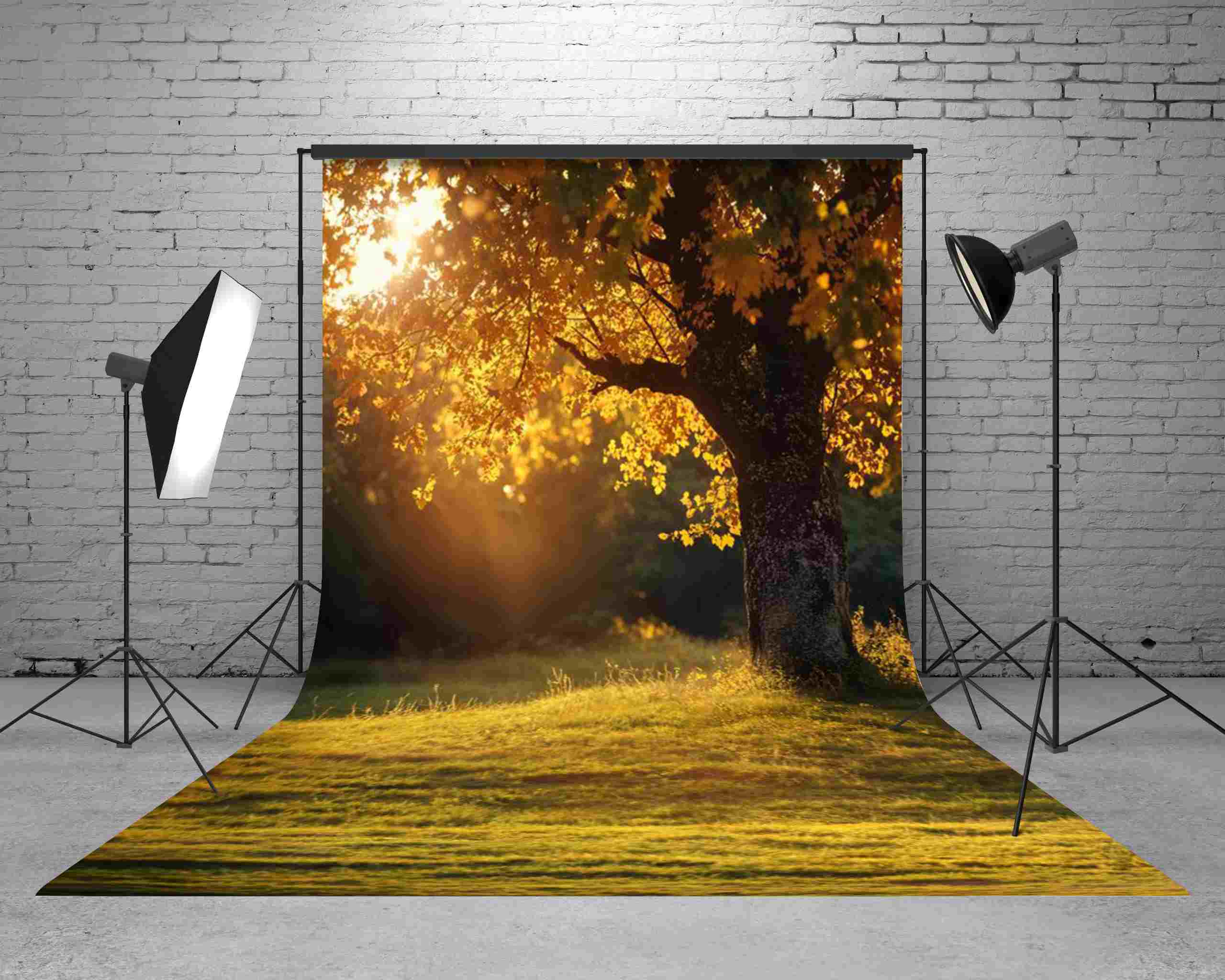 Kate Sweep Mur-à-Sol Automne Arbre Coucher de soleil Toile de fond conçue par Emetselch - Kate Backdrop FR