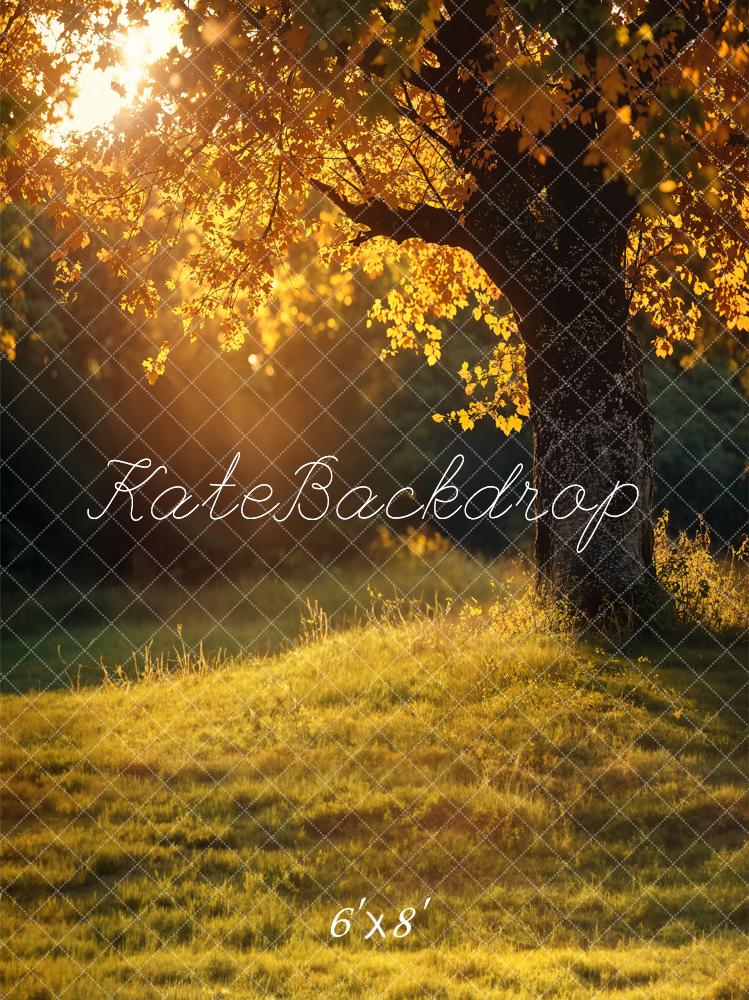 Kate Automne Arbre Doré Coucher de soleil Toile de fond conçue par Emetselch - Kate Backdrop FR