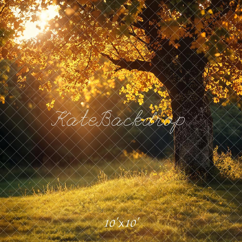 Kate Automne Arbre Doré Coucher de soleil Toile de fond conçue par Emetselch - Kate Backdrop FR