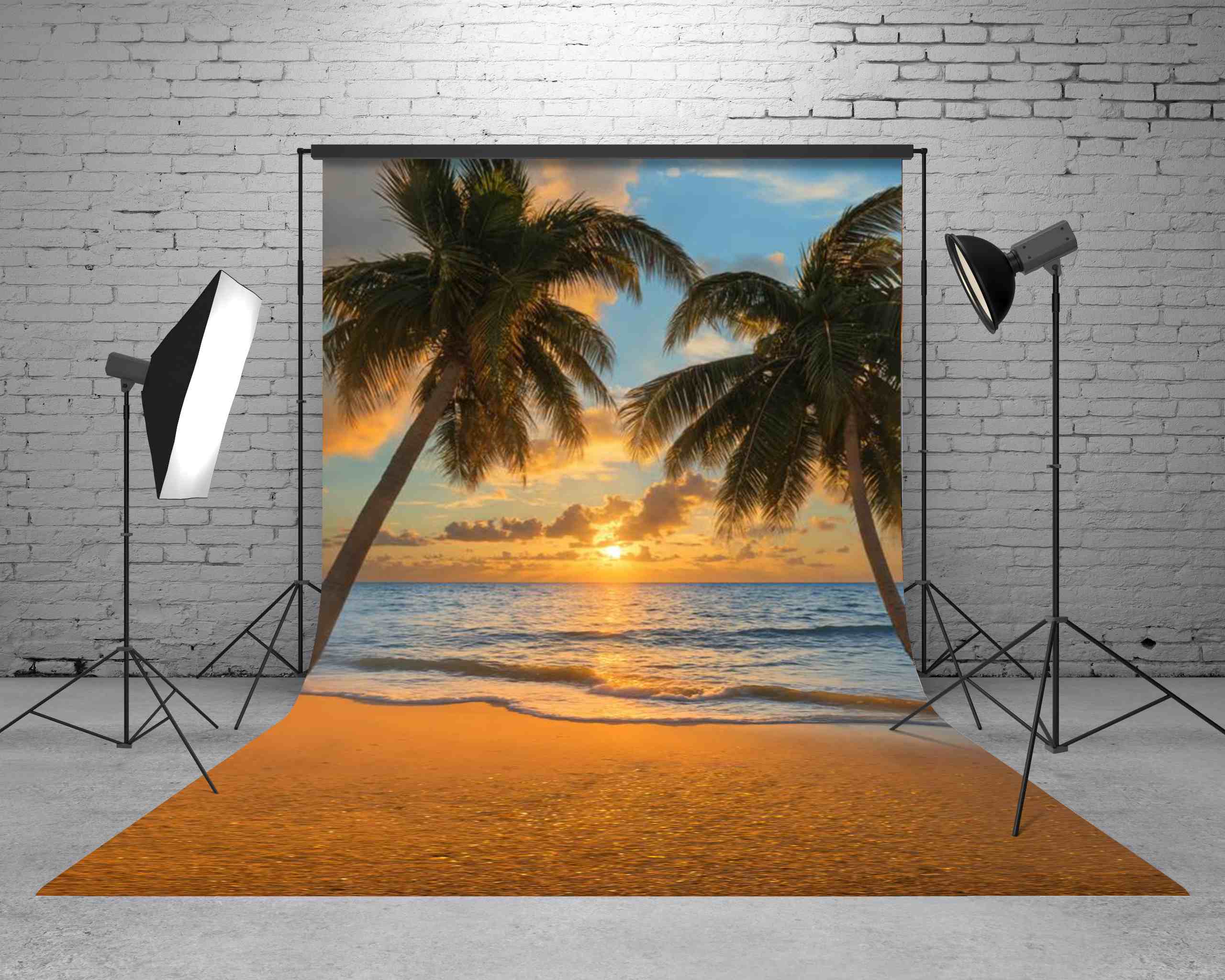 Kate Sweep Mur-à-Sol Plage Tropical Palmier Toile de fond conçue par Emetselch - Kate Backdrop FR