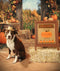 Kate Automne Citrouille Récolte Arche Toile de fond conçue par Emetselch - Kate Backdrop FR