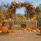 Kate Automne Citrouille Récolte Arche Toile de fond conçue par Emetselch - Kate Backdrop FR