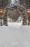 Kate Noël Arche Hiver Forêt Neige Toile de fond conçue par Emetselch
