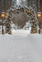 Kate Noël Arche Hiver Forêt Neige Toile de fond conçue par Emetselch