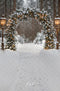Kate Noël Arche Hiver Forêt Neige Toile de fond conçue par Emetselch