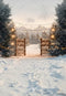 Kate Hiver Neige Portail Noël Lumière Toile de fond conçue par Emetselch - Kate Backdrop FR