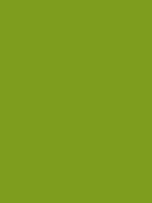 Kate Vert herbe Couleur unie Photographie Toile de fond en Vinyle - Kate Backdrop FR