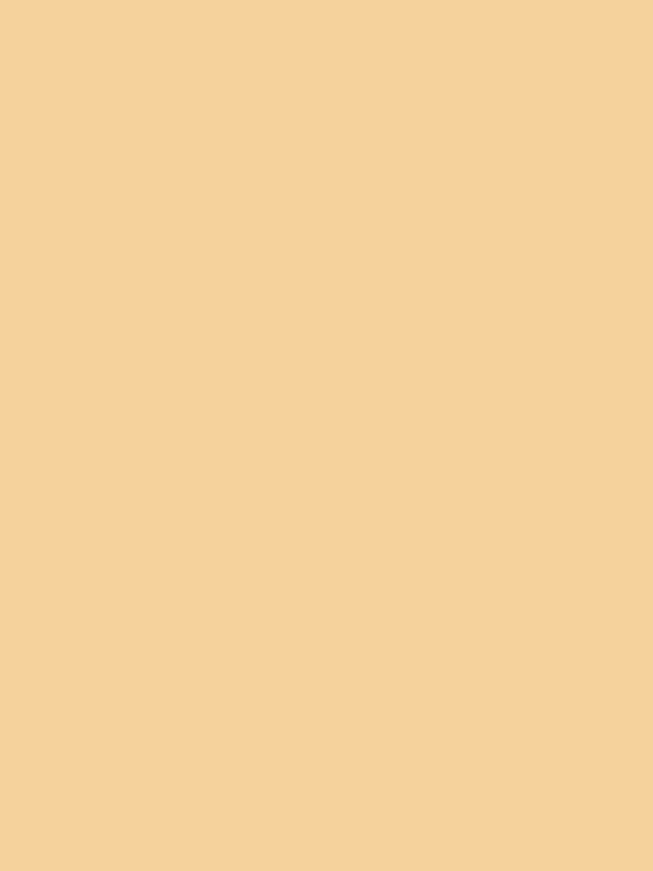 Kate Crème Orange clair Couleur unie Photographie Toile de fond en Vinyle