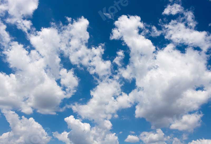 GROUPE VIP - Kate Ciel bleu Nuages blancs Paysage Toile de fond conçue par Chain Photographie - Kate Backdrop FR