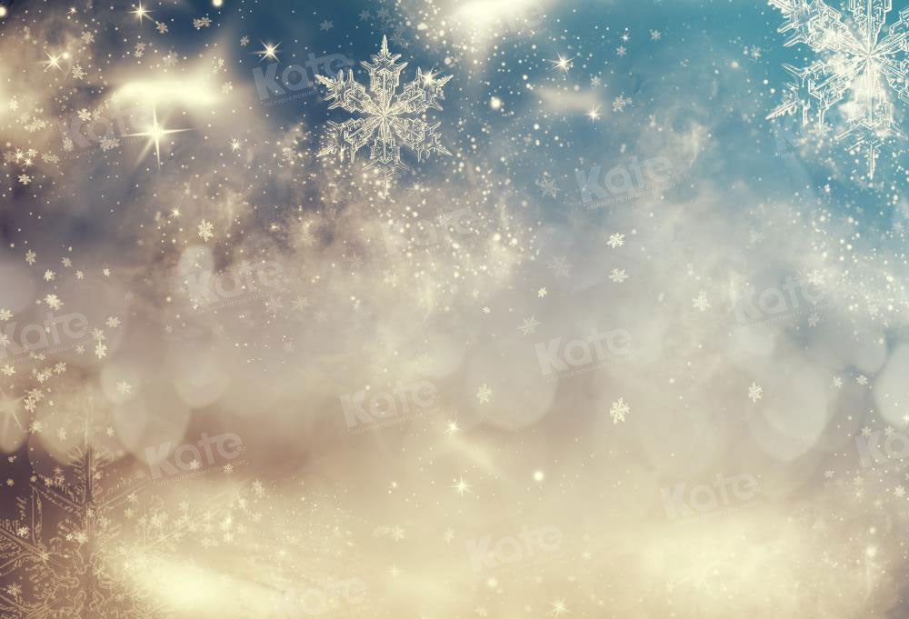 Kate Étincelant Flocons de neige Givré Toile de fond pour la photographie