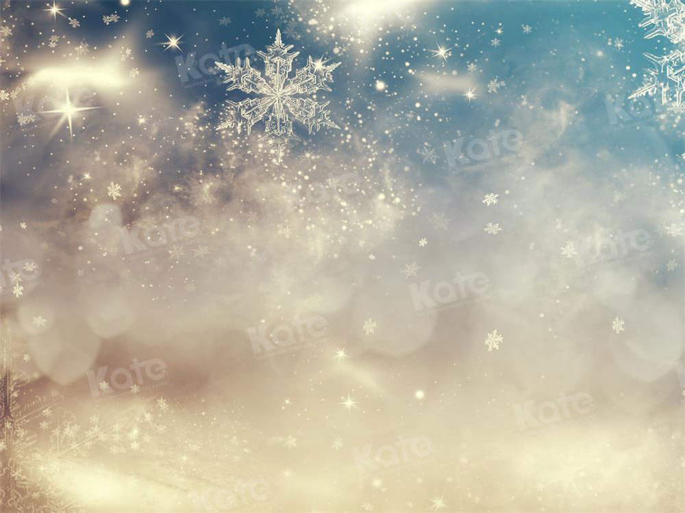 Kate Étincelant Flocons de neige Givré Toile de fond pour la photographie