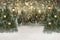 Kate Hiver Noël Neige Forêt Lumières Toile de fond en Laine pour la photographie - Kate Backdrop FR