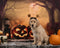 Kate Lune Citrouille Automne Lune Bougies Toile de fond pour la photographie - Kate Backdrop FR