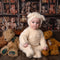 Kate Cake smash Ours en peluche Enfant Toile de fond conçue par Arica Kirby - Kate Backdrop FR
