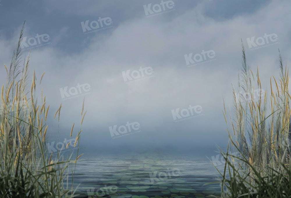 Kate Été Roseau Nuage Ciel Lac Toile de fond pour la photographie