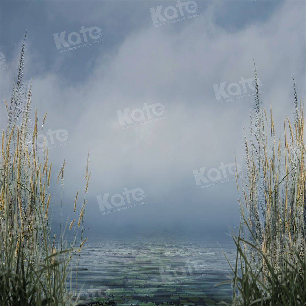 Kate Été Roseau Nuage Ciel Lac Toile de fond pour la photographie
