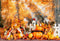 Kate Automne Extérieur Anniversaire Citrouilles Toile de fond conçue par Emetselch - Kate Backdrop FR
