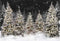 Kate Noël Forêt Neige Nuit Toile de fond pour la photographie - Kate Backdrop FR