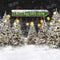 Kate Sapin de Noël Ferme Nuit Lumière Toile de fond pour la photographie - Kate Backdrop FR