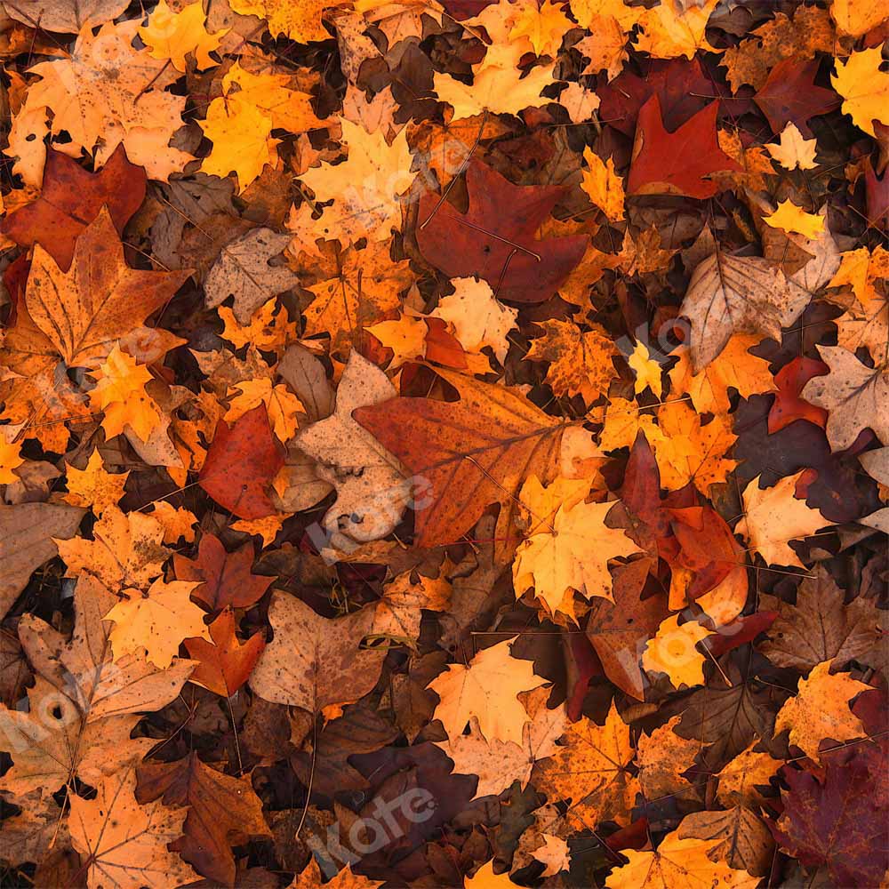 Kate Automne Feuille d'érable Rétro Sol Toile de fond conçue par Chain Photographie - Kate Backdrop FR