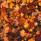 Kate Automne Feuille d'érable Rétro Sol Toile de fond conçue par Chain Photographie - Kate Backdrop FR