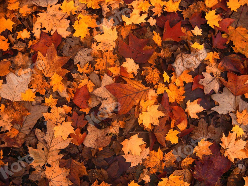 Kate Automne Feuille d'érable Rétro Sol Toile de fond conçue par Chain Photographie - Kate Backdrop FR