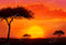 Kate Naturel Coucher de soleil Arbre Toile de fond pour la photographie - Kate Backdrop FR