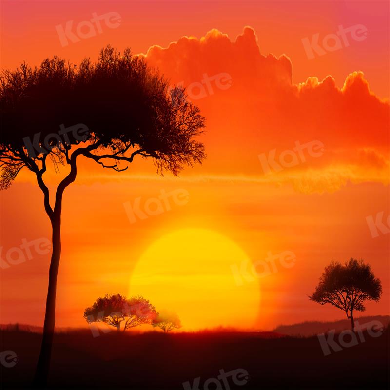 Kate Naturel Coucher de soleil Arbre Toile de fond pour la photographie - Kate Backdrop FR