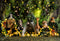 Kate Jungle Camping Garçon Animaux Toile de fond conçu par Emetselch - Kate Backdrop FR