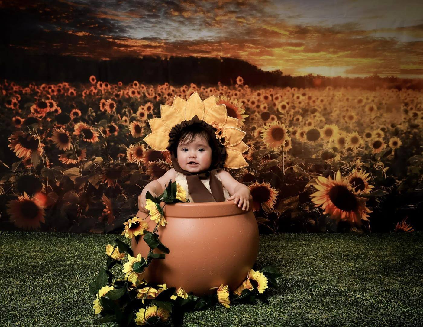 Kate Coucher de soleil Champ de tournesol Automne Toile de fond Conçu par Chain Photographie - Kate Backdrop FR
