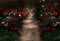 Kate Saint Valentin Roseraie Chemin Toile de fond pour la photographie - Kate Backdrop FR