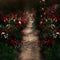 Kate Saint Valentin Roseraie Chemin Toile de fond pour la photographie - Kate Backdrop FR