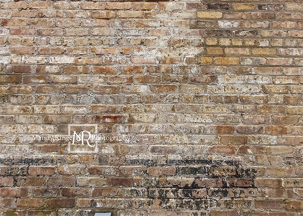 Kate Vieille Urbaine Mur de briques Toile de fond conçue par Mandy Ringe - Kate Backdrop FR
