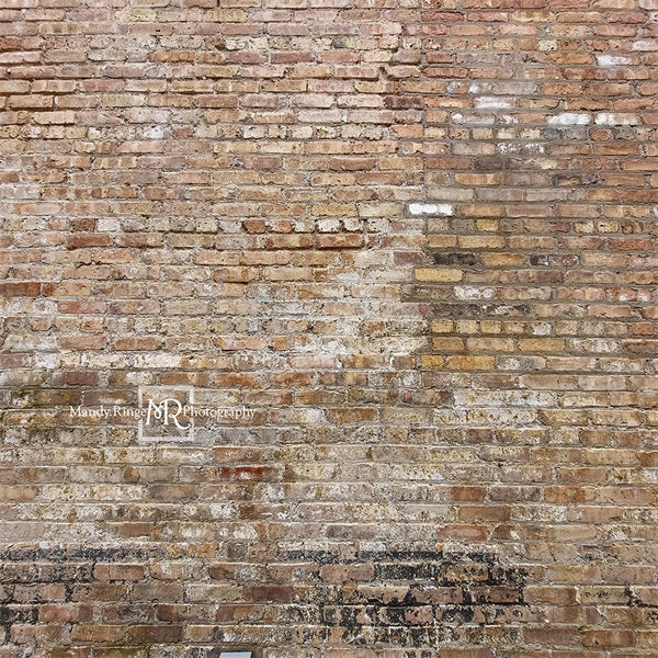 Kate Vieille Urbaine Mur de briques Toile de fond conçue par Mandy Ringe