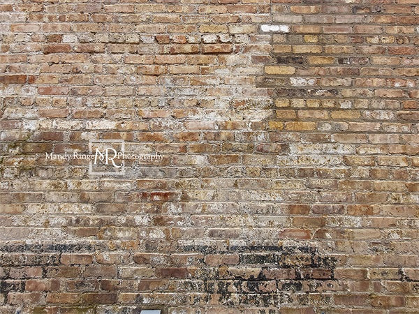 Kate Vieille Urbaine Mur de briques Toile de fond conçue par Mandy Ringe - Kate Backdrop FR