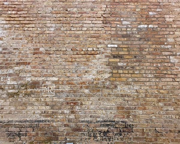 Kate Vieille Urbaine Mur de briques Toile de fond conçue par Mandy Ringe