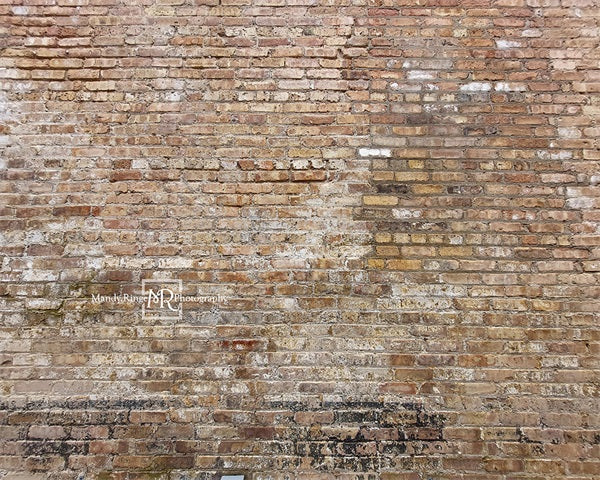 Kate Vieille Urbaine Mur de briques Toile de fond conçue par Mandy Ringe - Kate Backdrop FR