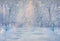 Kate Hiver Neige Forêt Crépuscule Toile de fond pour la photographie - Kate Backdrop FR