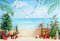 Kate Noël en Été Plage Cadeaux Toile de fond conçue par Emetselch - Kate Backdrop FR