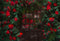 Kate Saint Valentin Roseraie Mystère Toile de fond pour la photographie - Kate Backdrop FR