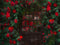 Kate Saint Valentin Roseraie Mystère Toile de fond pour la photographie - Kate Backdrop FR