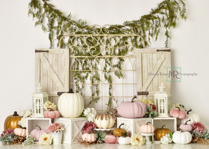 Kate Jardin Portail Citrouilles Automne Toile de fond conçue par Mandy Ringe - Kate Backdrop FR