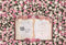 Kate Rose Livre Fleurs Saint-Valentin Toile de fond conçu par Ashley Paul - Kate Backdrop FR